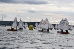 14650458_1855055318057705_5799153728994239067_n