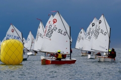 14716285_1855179178045319_5263721476165410098_n