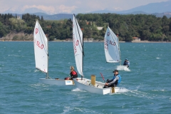 12-IMG_7262