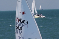 19-IMG_7377
