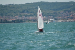 22-DSC_8342