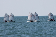 22-IMG_7382