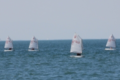 25-IMG_7394