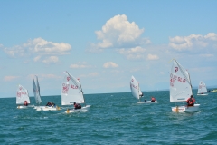 33-DSC_8360