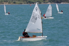 37-IMG_7309