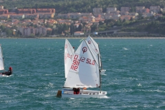 43-IMG_7172