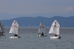 45-IMG_7340