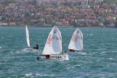46-IMG_7175