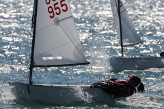 56-IMG_7433