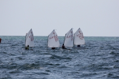 73-IMG_7216