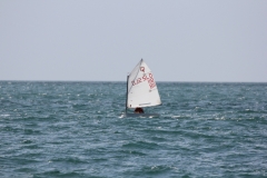 81-IMG_7224