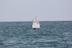 82-IMG_7225