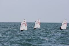 83-IMG_7228