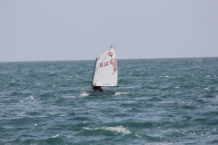 86-IMG_7236
