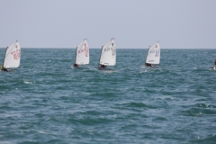 87-IMG_7239