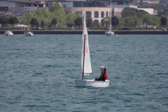 100-IMG_8550