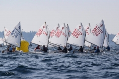 44512324_2253745224855377_5978333238941188096_o