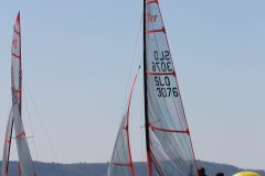 IMG_0541