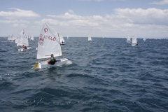 13217141_718483894956094_8171149230246607572_o