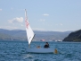 2016 Regata Zlato sidro