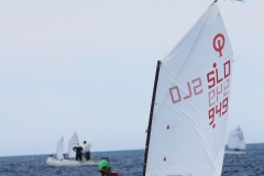 17-IMG_5779