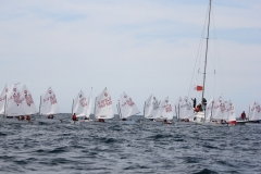37-IMG_5821
