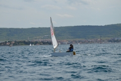 Zlato_sidro_2016_0113