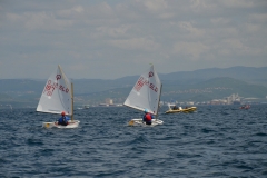 Zlato_sidro_2016_0142
