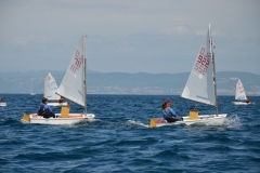 Zlato_sidro_2016_0147
