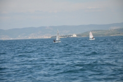 Zlato_sidro_2016_0186