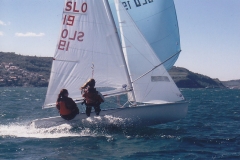 0239_copy