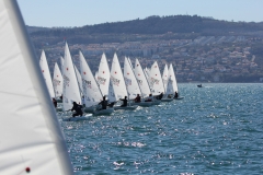 113-IMG_6919