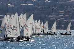 135-IMG_6951