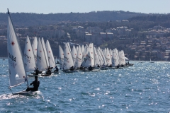139-IMG_6956